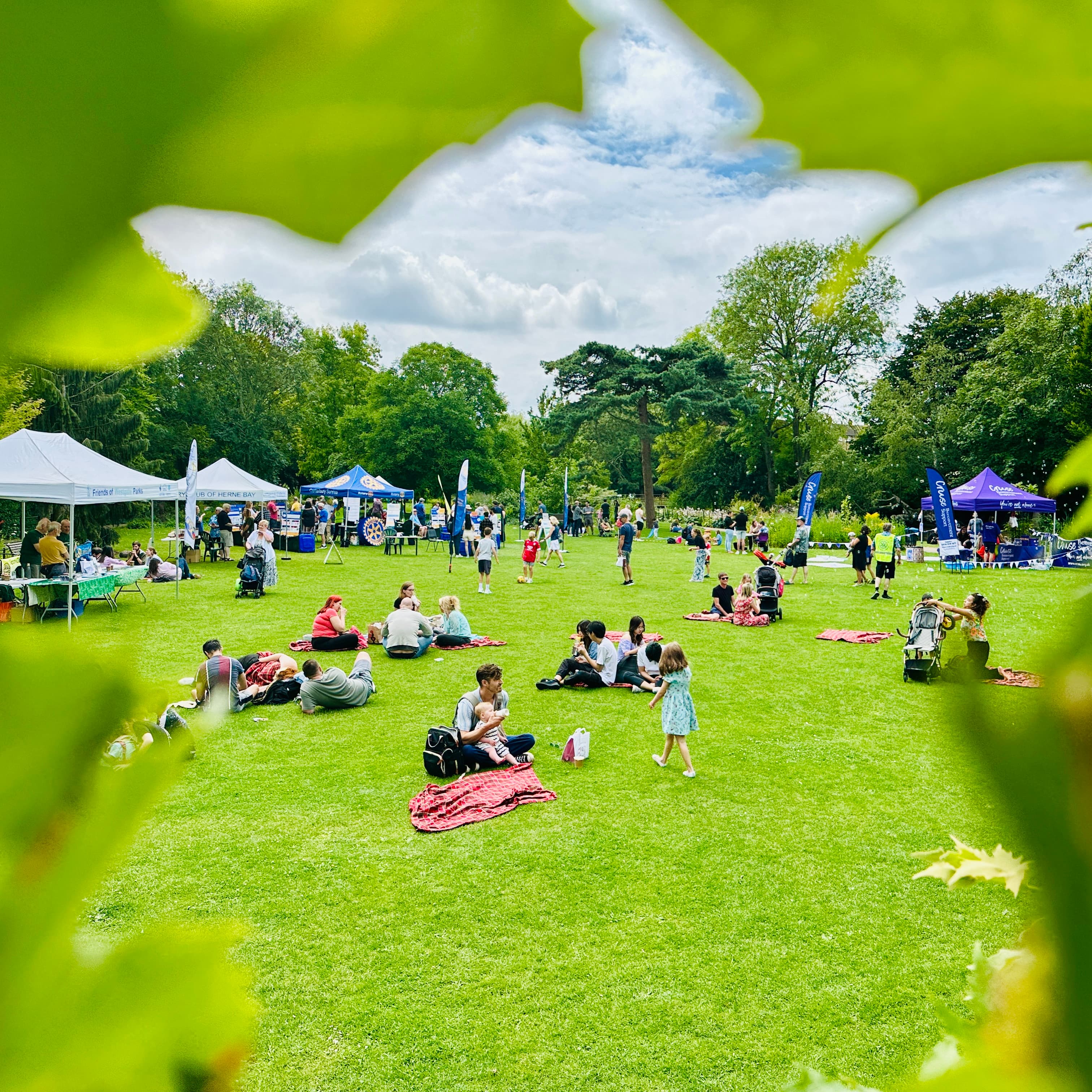 Families enjoying the green